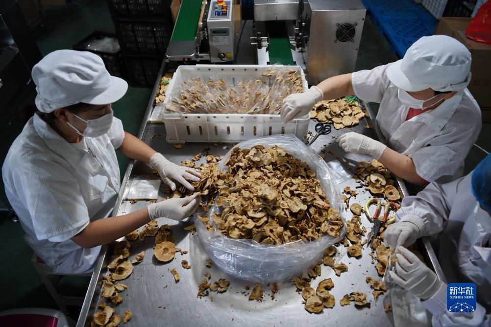 捕鱼达人单机电脑版游戏下载